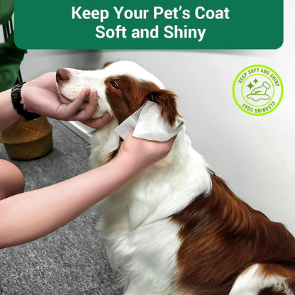 Alcohol free dog wipes infused with aloe vera and vitamin E for daily care.
