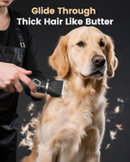 Heavy duty dog clippers with standard cutter head attached for full body trimming on thick coats.
