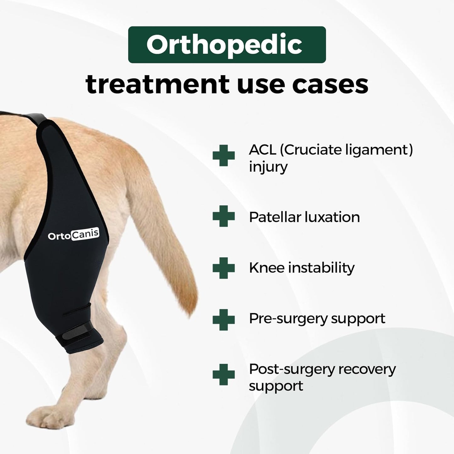 Left hind leg dog brace displaying the secure orthopedic fit over the stifle joint