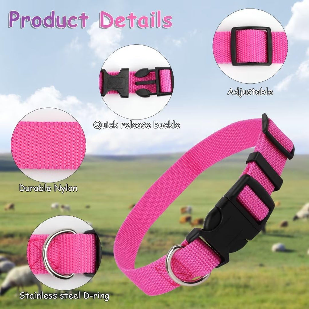 Livestock neck belt showing quick-release safety plastic buckle