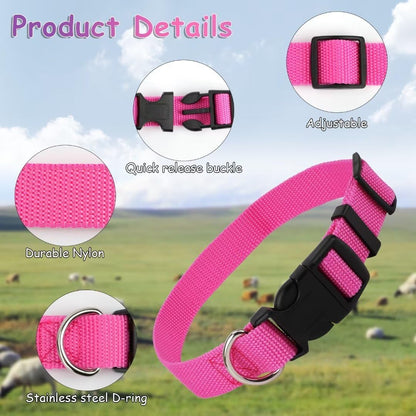 Five vibrant colored small animal collars with stainless steel D rings and key rings