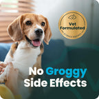 VetriScience veterinary formulated anxiety relief chews for small dog thunderstorm stress