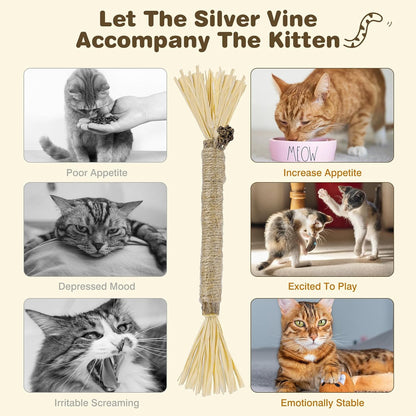 Educational graphic showing cat dental care benefits