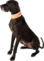 CoolerDog Hi-Vis Cooling Dog Collar for Large Dogs - Reflective Re-Freezable Ice Collar for Hot Weather & Heat Relief (Orange, Large) - Image 9