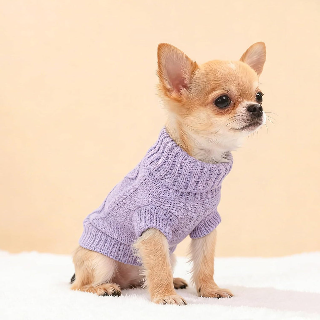 Two pieces extra small dog knitwear laid flat setup
