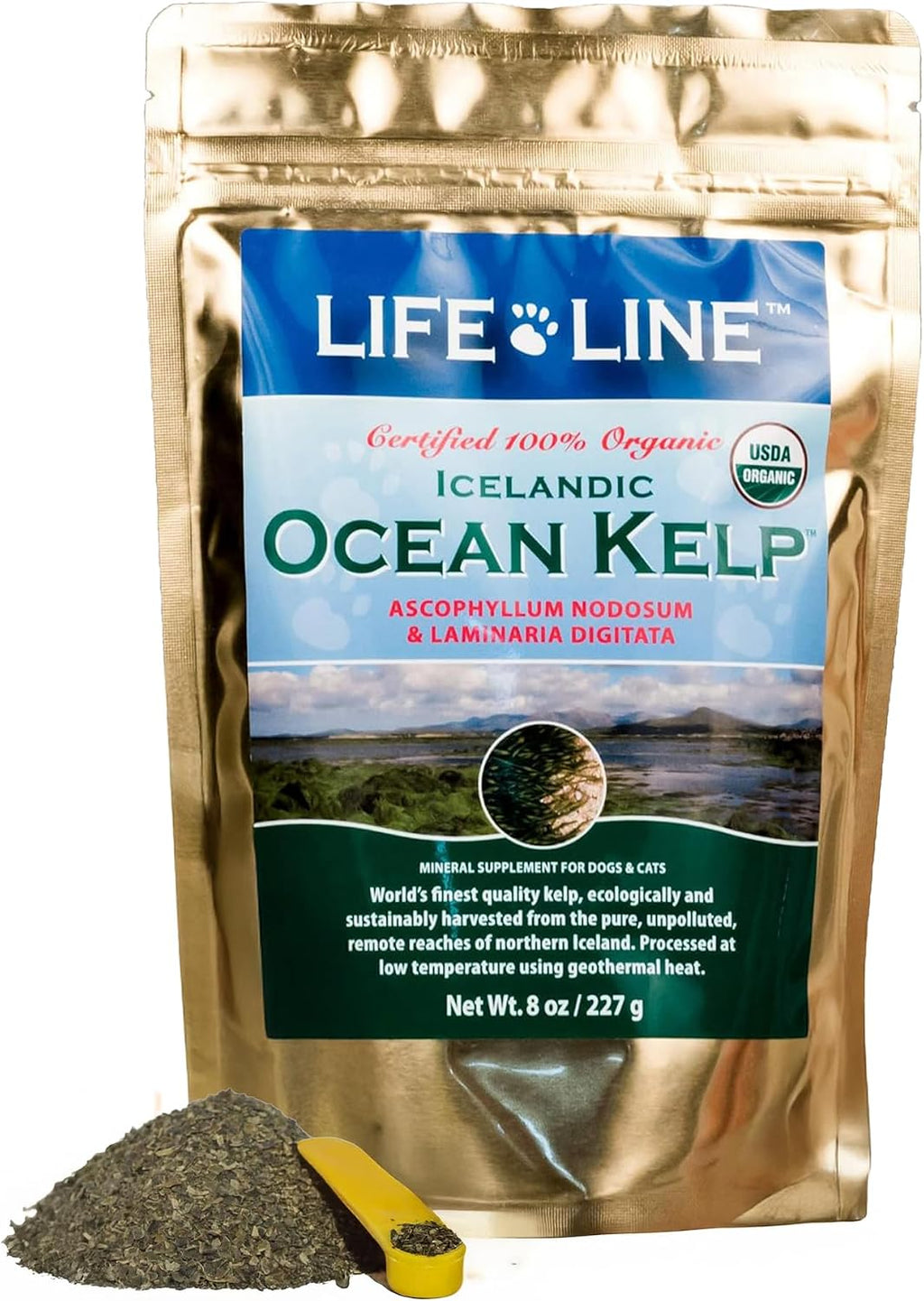 Healthy dog with shiny coat after using Life Line kelp supplement
