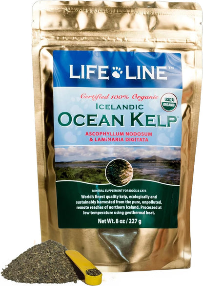 Healthy dog with shiny coat after using Life Line kelp supplement
