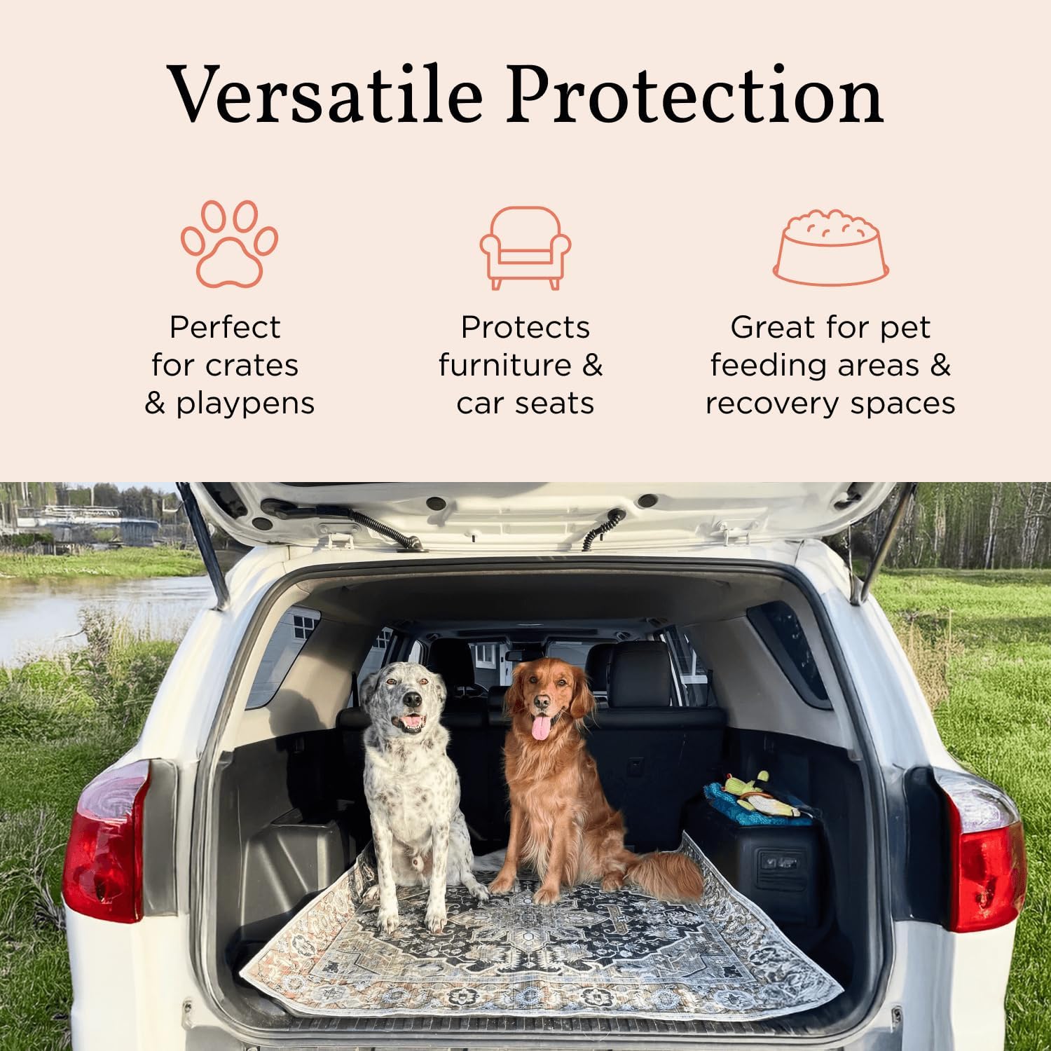Lovewag Pets Marmalade Sunshine mat used in living room