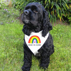 Tinsow premium cotton dog neckwear for pride parade celebrations