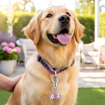 Durable training collars charm set with lobster claw clasps displayed on a flat surface.