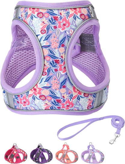 Step in Dog Harness and Leash Set, Flower Adjustable Easy Walk Puppy Harnesses, Soft Mesh No Pull Pet Vest Harness for Small Dogs and Cats(Strawberry, XS) - Image 9