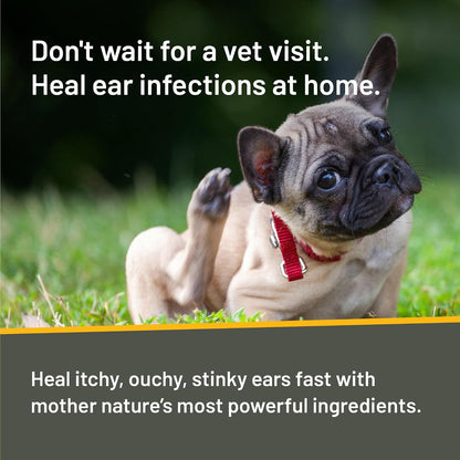 Absorbine Silver Honey 10 day regimen kit for dogs and cats