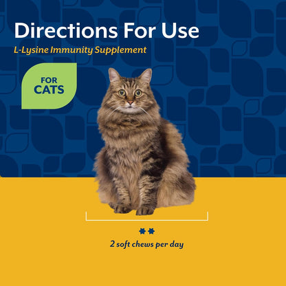 NaturVet L-Lysine Immune Support Plus Antioxidants Cat Supplement - Helps Support Eye Health, Immune System for Cats - Includes Amino Acids - 60 Ct. Soft Chews, 30-Day Supply - Image 6