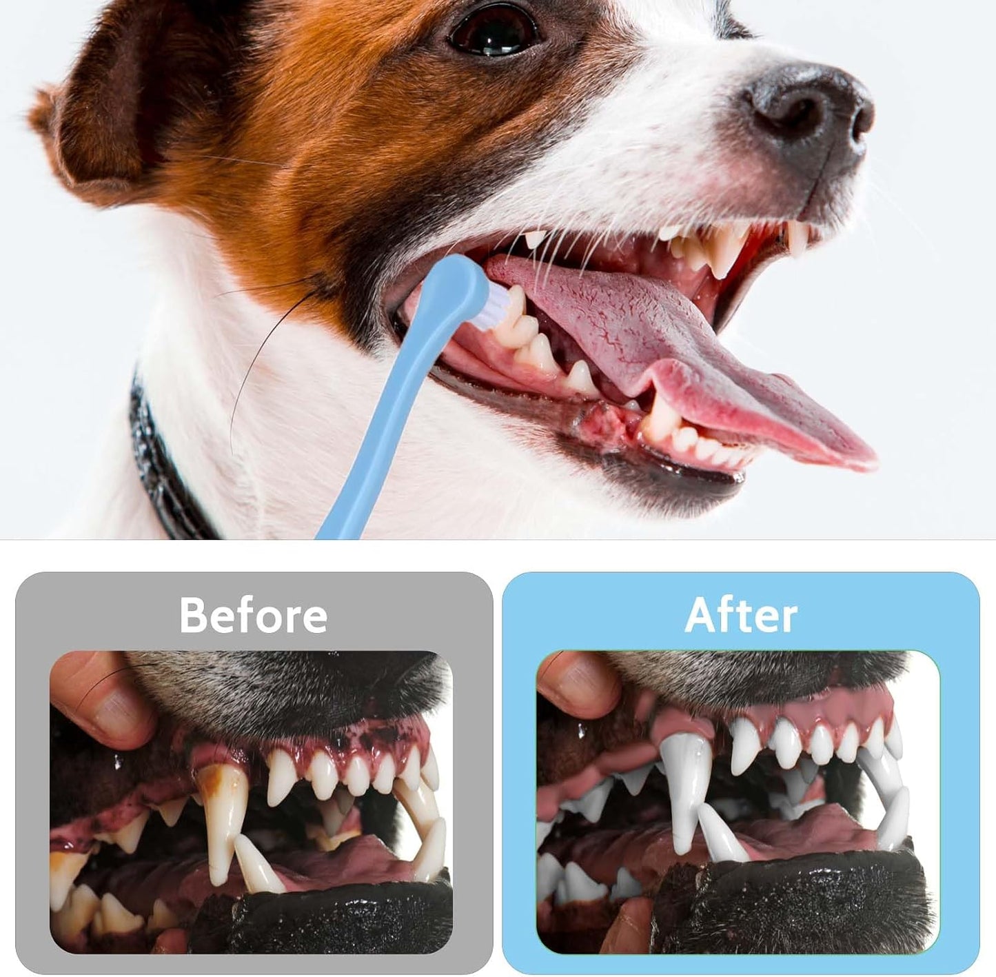 Travel friendly 16.4cm pet dental cleaning kit