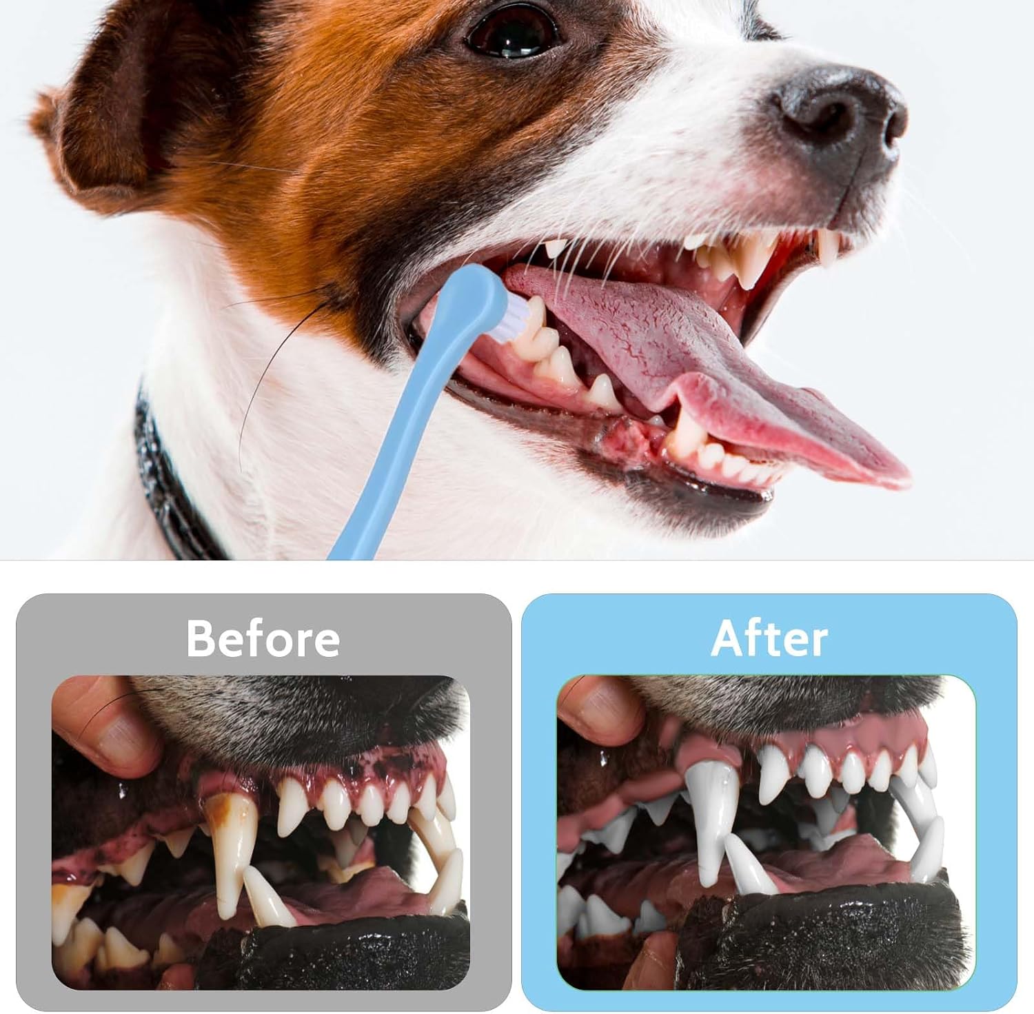 Travel friendly 16.4cm pet dental cleaning kit