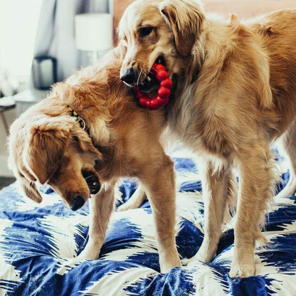 Durable KONG rubber ring for small dogs
