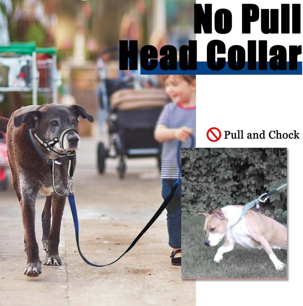 Owner using Barkless no pull leash for dog training