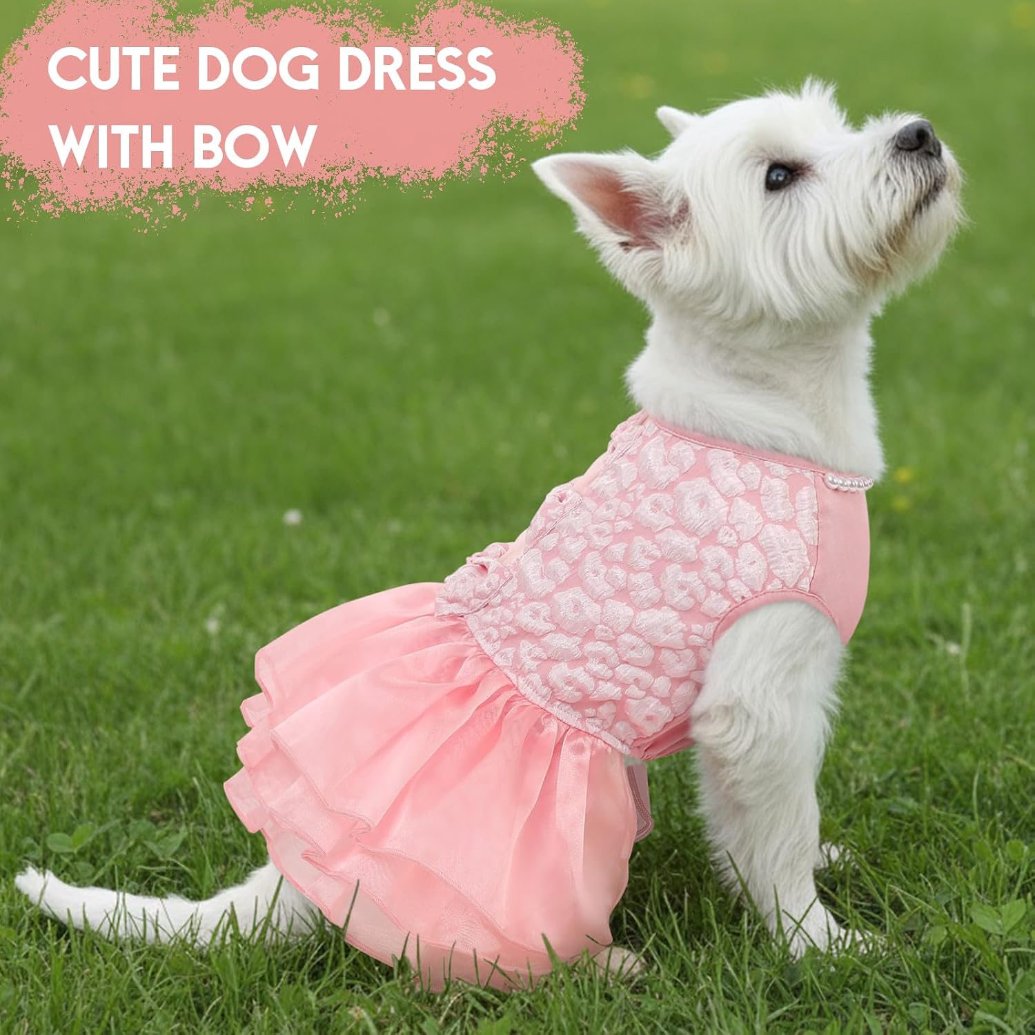 Large dog wearing pink ASENKU lace princess gown at birthday party