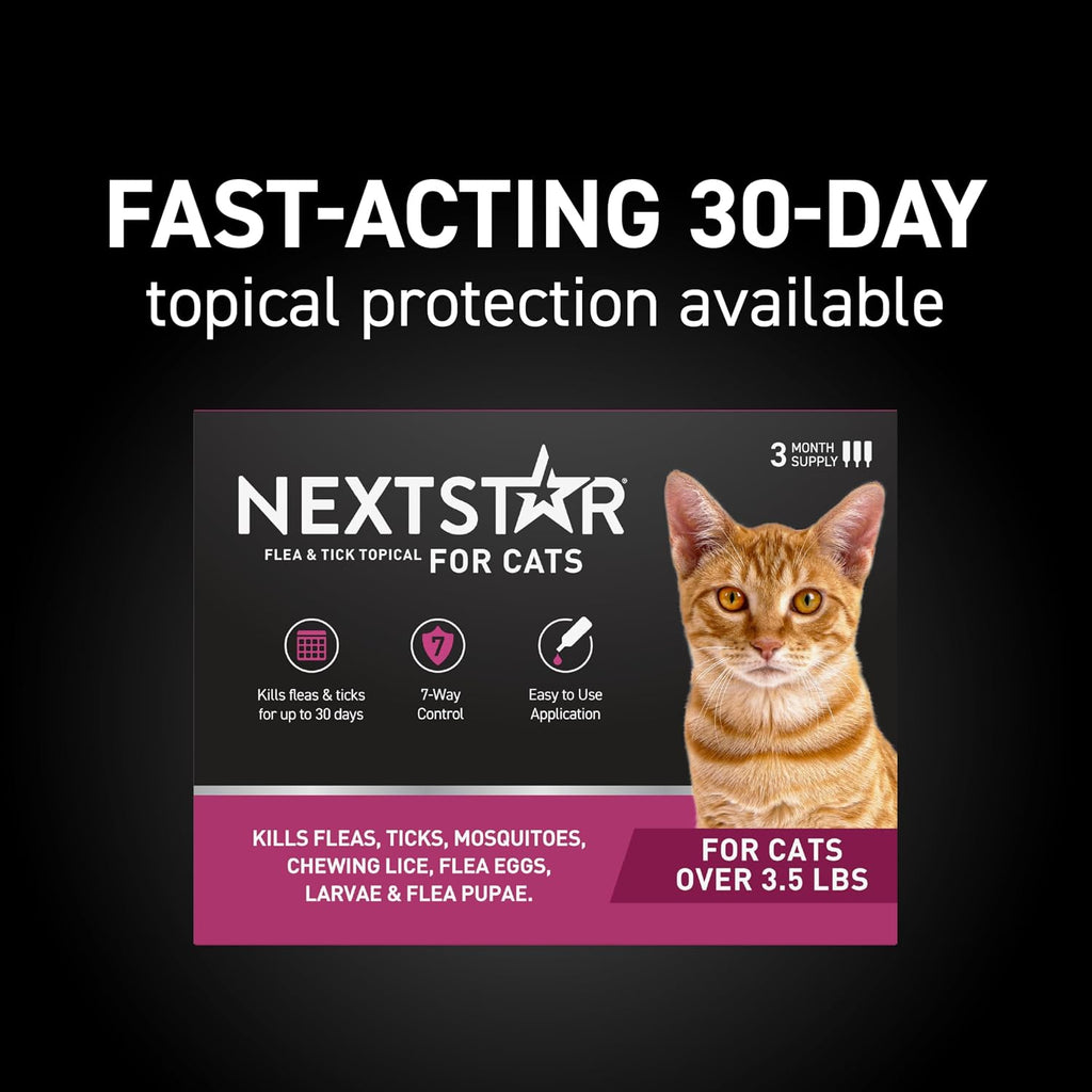 Topical drops application diagram for feline flea and tick repellent control.