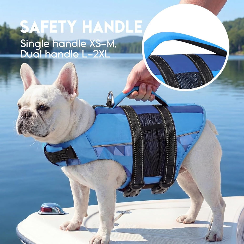 A large dog swimming safely in open water wearing the blue high-density foam life vest.