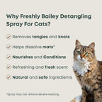 Freshly Bailey pet grooming leave in conditioner spray for cats being applied to long haired coat