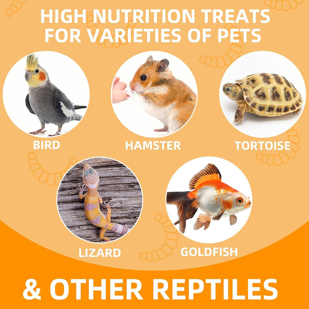 Jadingsfarm canned crickets group pack for small animals.