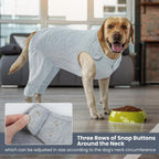 IDOMIK rear leg pet sleeve grey color zipper closure detail