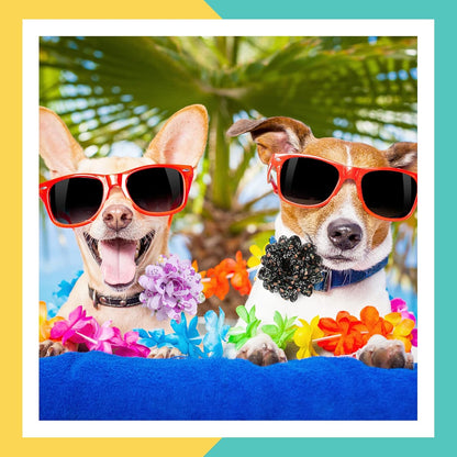 Xuniea multi color pet dress up accessories for small medium and large dogs