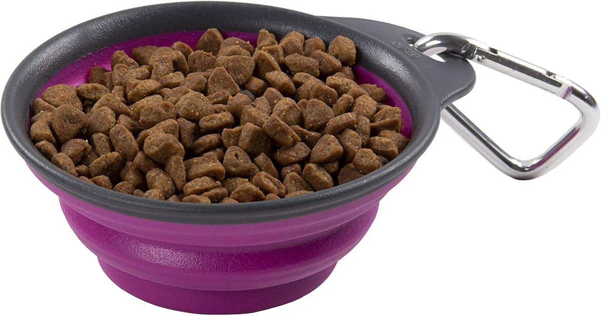 Dexas Pets Collapsible Travel Cup, Small/1 Cup Capacity, Light Gray - Image 11