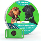 Durable weather resistant pet collar tag showing the compact lightweight design