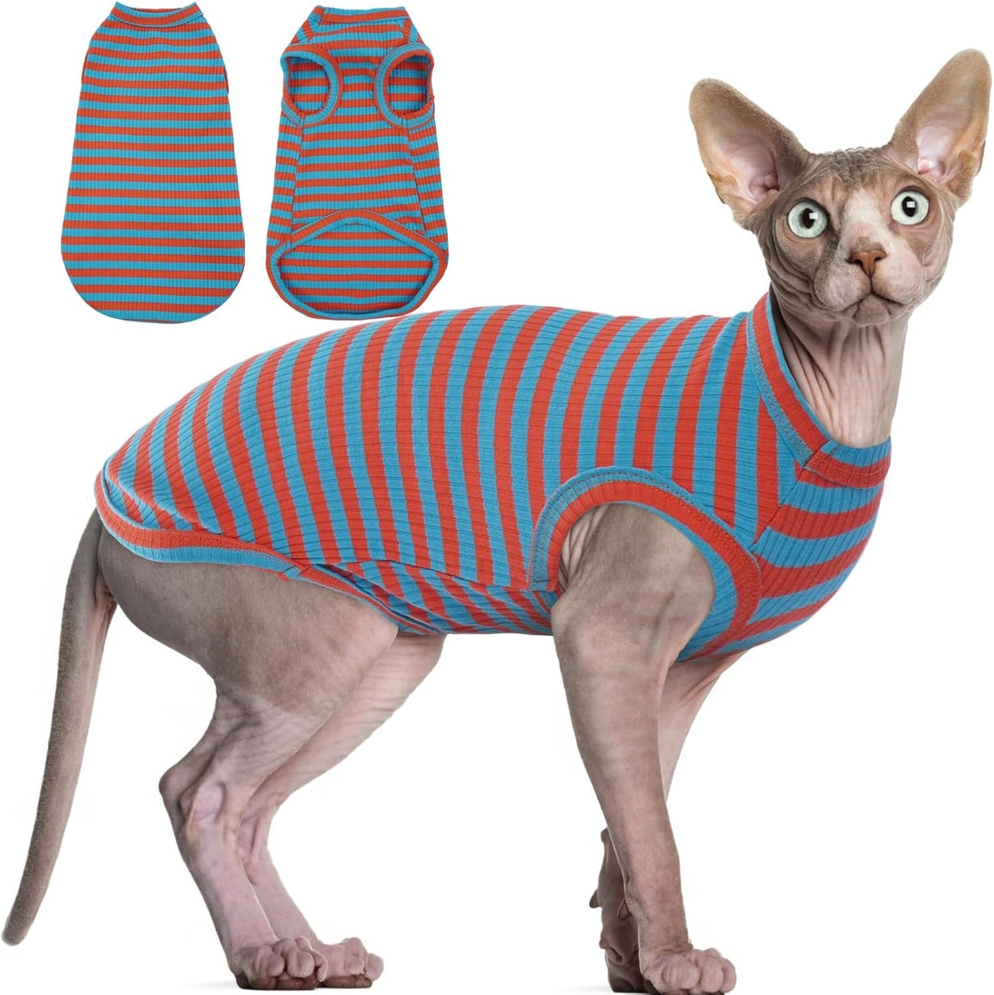 Small dog wearing red striped Brkurleg cotton pullover vest