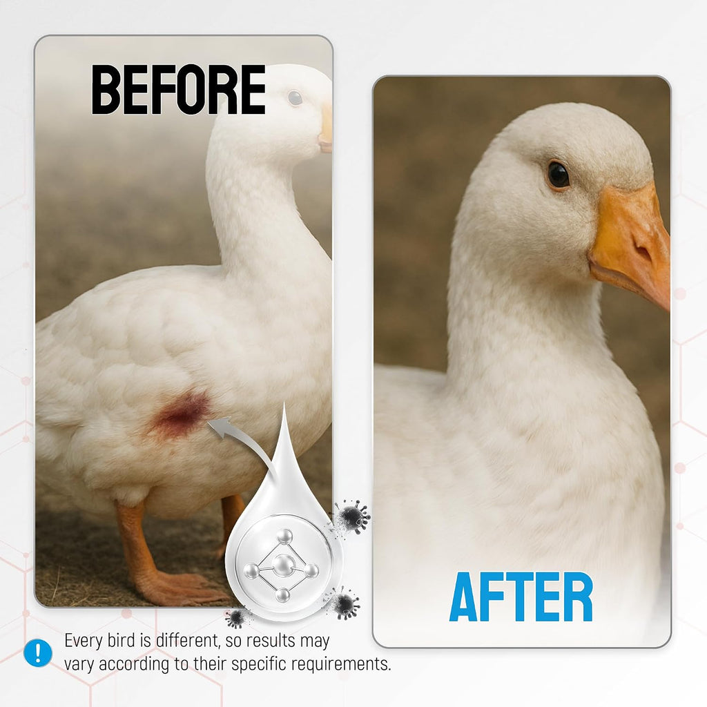 Instructions for using silver spray on chicken wounds