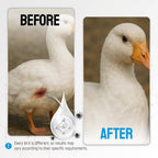 Instructions for using silver spray on chicken wounds