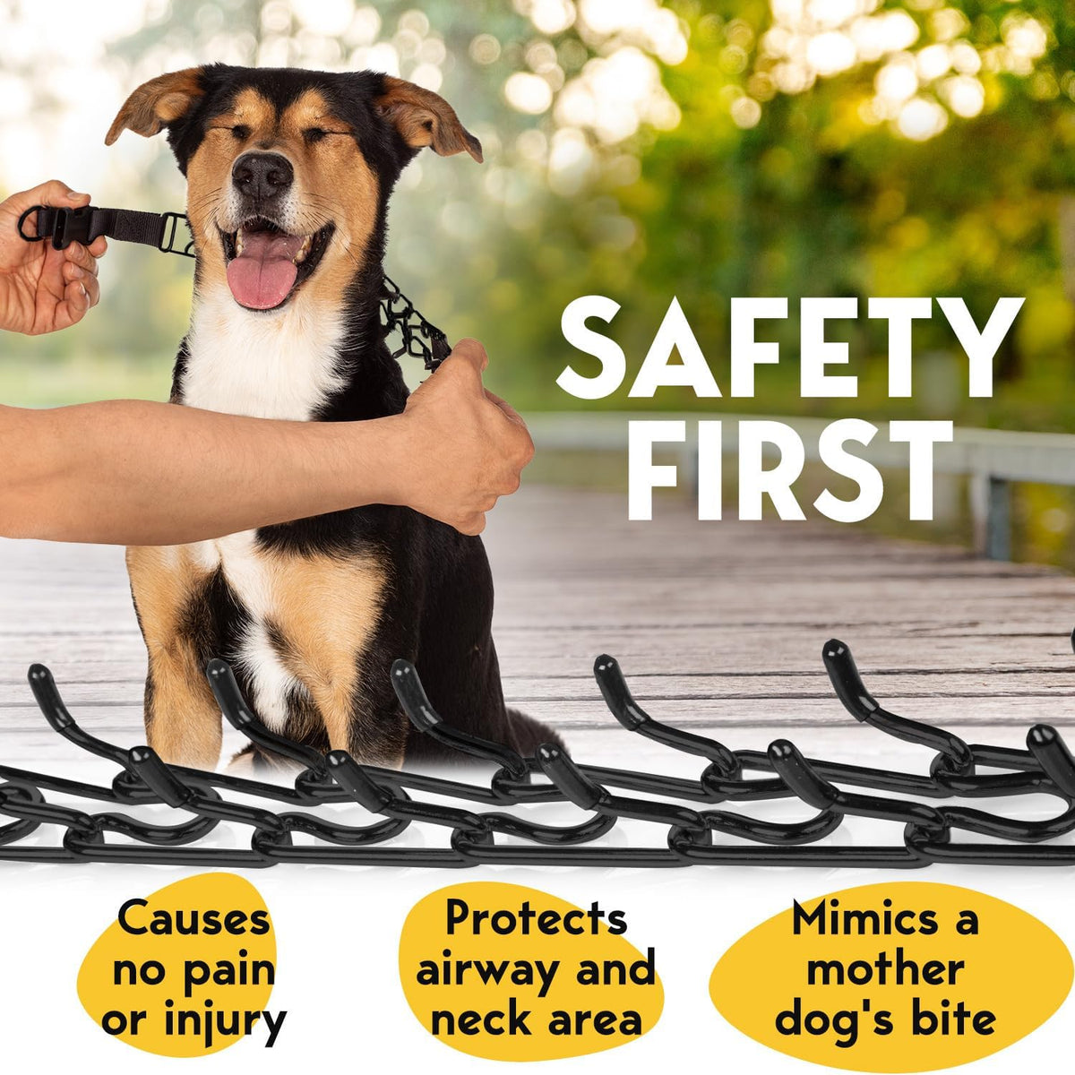 PetJett adjustable choke collar for dogs with extra removable stainless steel links and replacement rubber tips