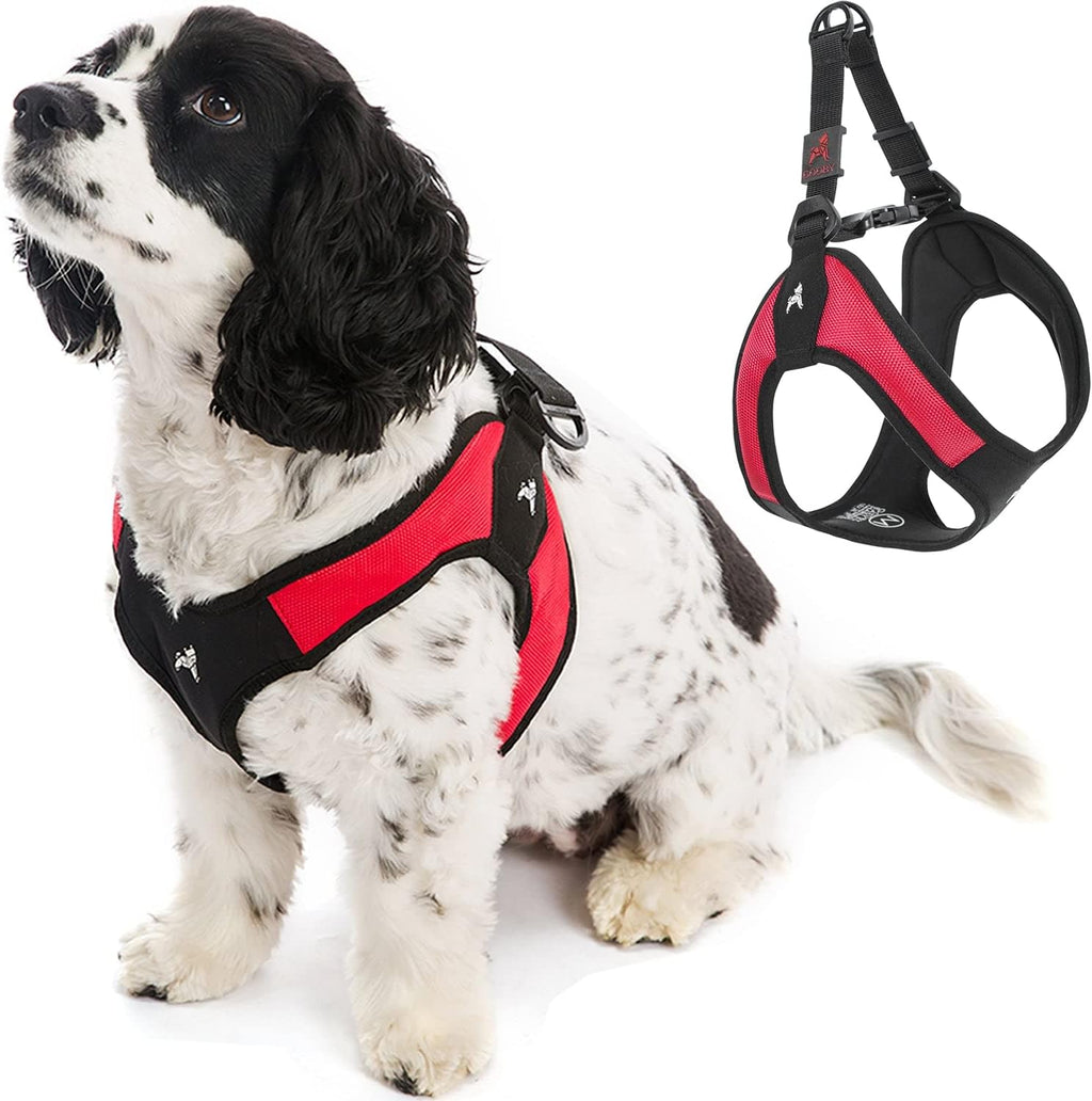 Instructions for fitting Gooby step-in dog harness