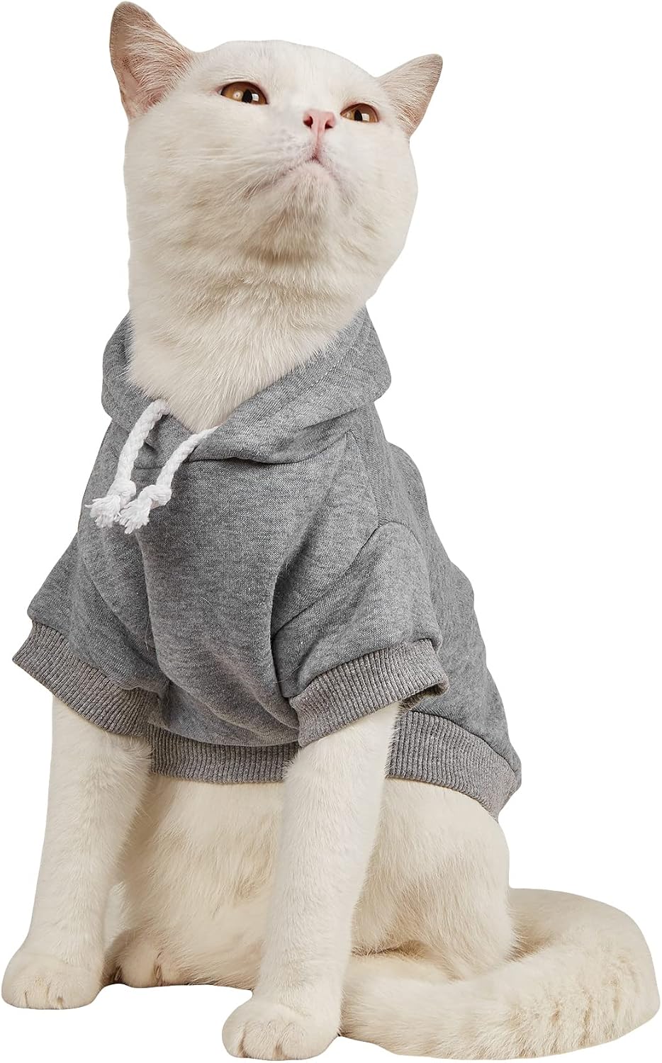 QWINEE Basic Dog Hoodie Sweatshirt Puppy Sweater Warm Cat Costumes Pet Clothes for Chihuahua Puppy Kitten Small Medium Dogs Cadet Blue Medium - Image 12