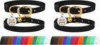 BronzeDog adjustable leather cat collar lifestyle angle
