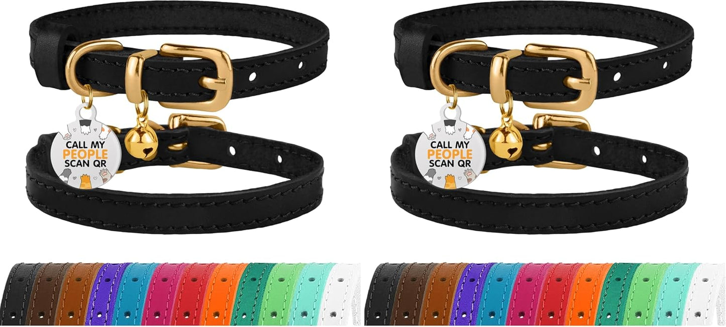BronzeDog authentic imported personal pet care accessory lifestyle view