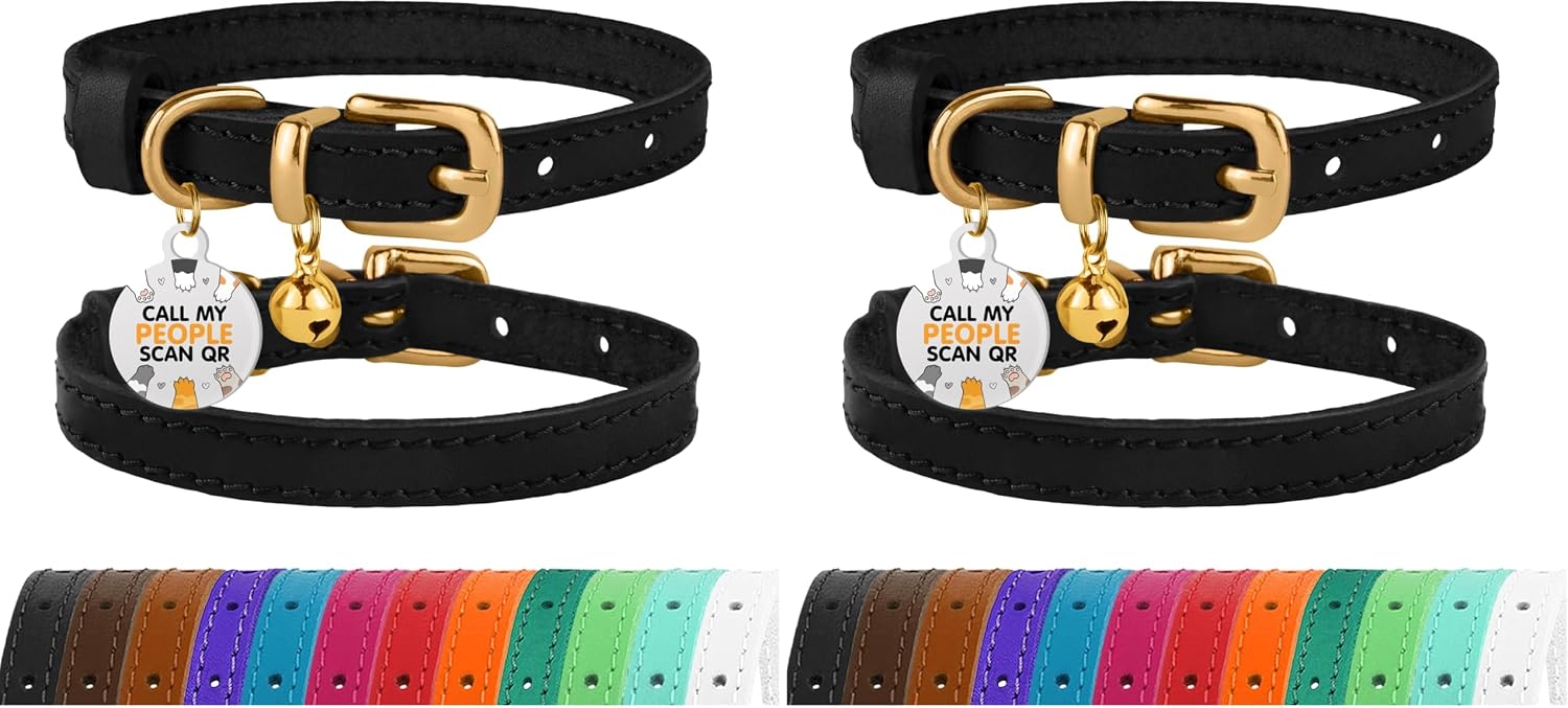BronzeDog authentic imported personal pet care accessory lifestyle view