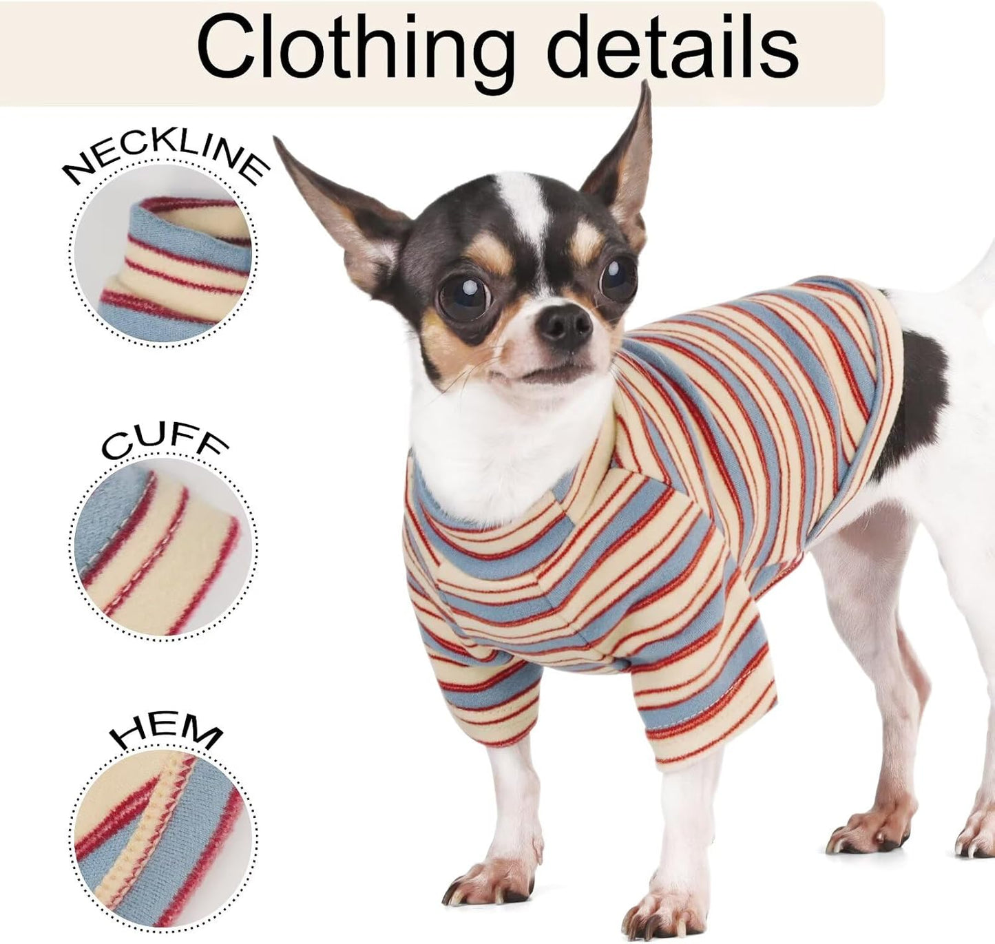Medium dog dressed in Paiaite stylish pet apparel