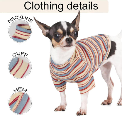 Medium dog dressed in Paiaite stylish pet apparel
