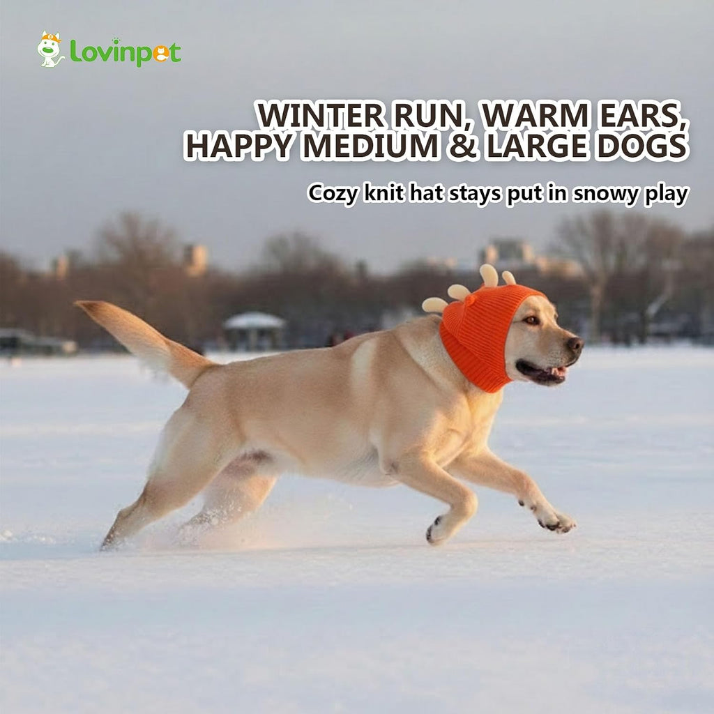 Detail of adjustable elastic band on LovinPet dog snood