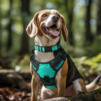Close up of Joytale dog collar reflective stitching