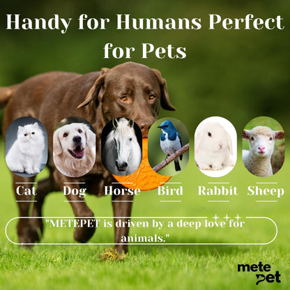 Metepet Vetromycin ointment tube showing precise application tip for sensitive pet eyes