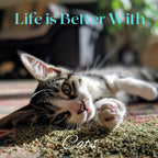Catabliss loose catnip leaves and flowers for feline enrichment