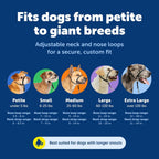 PetSafe Gentle Leader No-Pull Dog Headcollar - The Ultimate Solution to Pulling - Redirects Your Dog's Pulling for Easier Walks - Helps You Regain Control - Medium, Black - Image 5