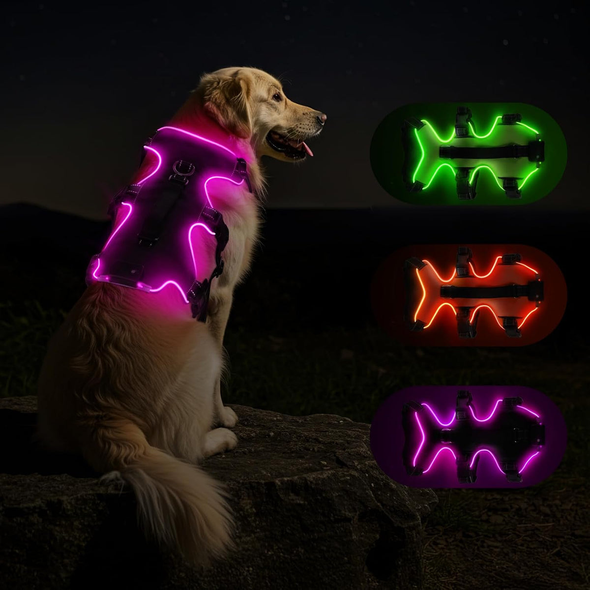 Light Up Dog Harness LED Dog Vest - USB-C Rechargeable RGB 9-LED, Slow/Fast Rainbow Modes, Reflective No-Pull Harness with Dual D-Rings & Handle for Small to XL Dogs (Orange, XL) - Image 9