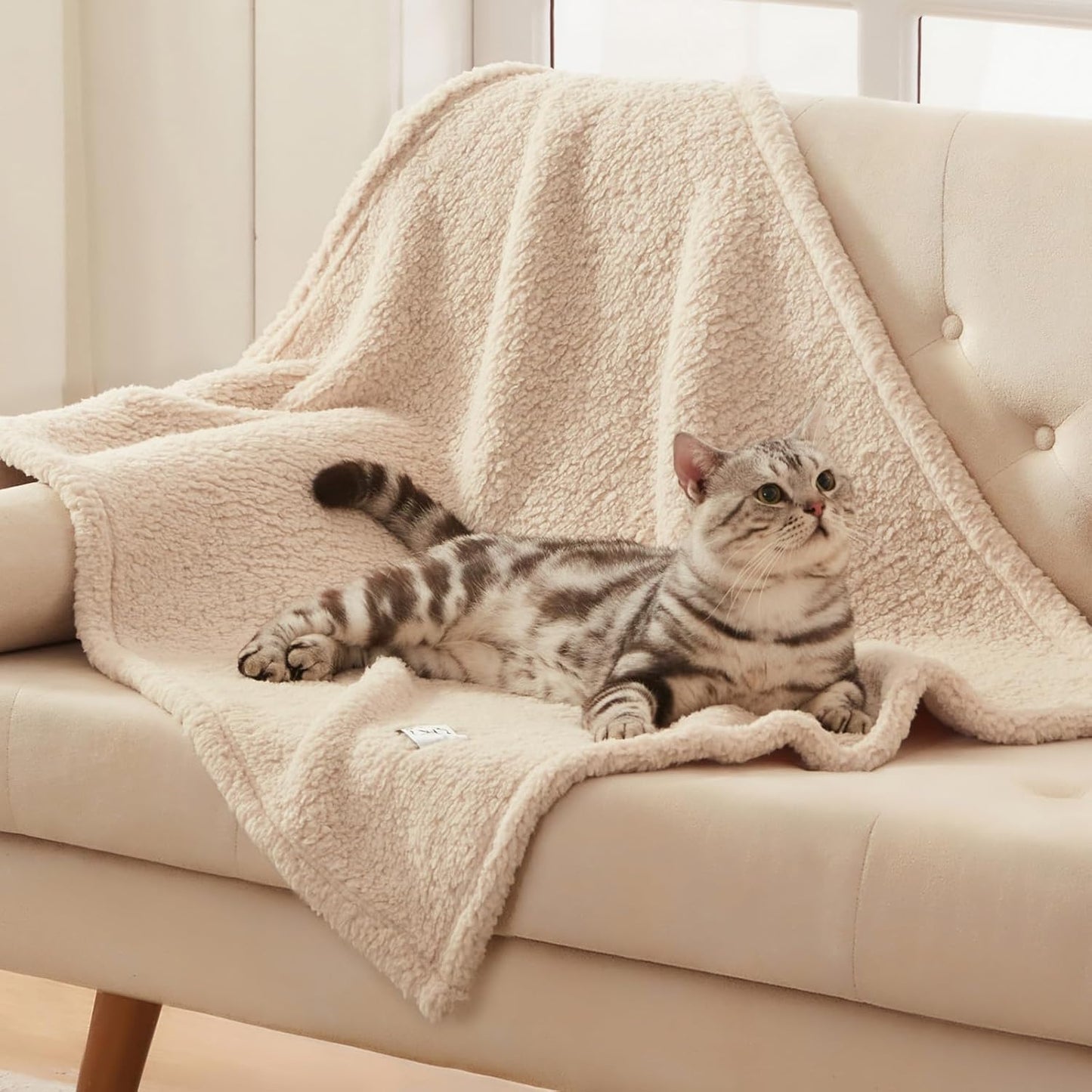Double sided luxurious sherpa and microfiber material texture comparison