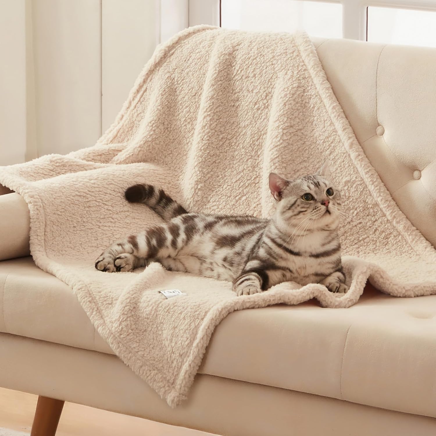 Double sided luxurious sherpa and microfiber material texture comparison