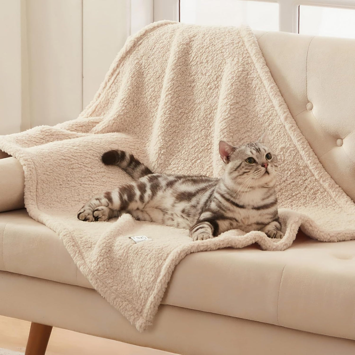 Double sided luxurious sherpa and microfiber material texture comparison